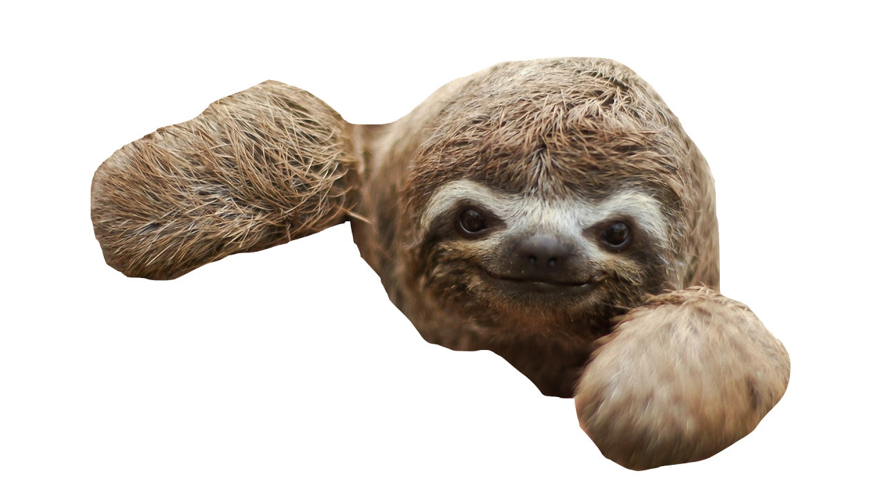 Hdpng - Sloth, Transparent background PNG HD thumbnail