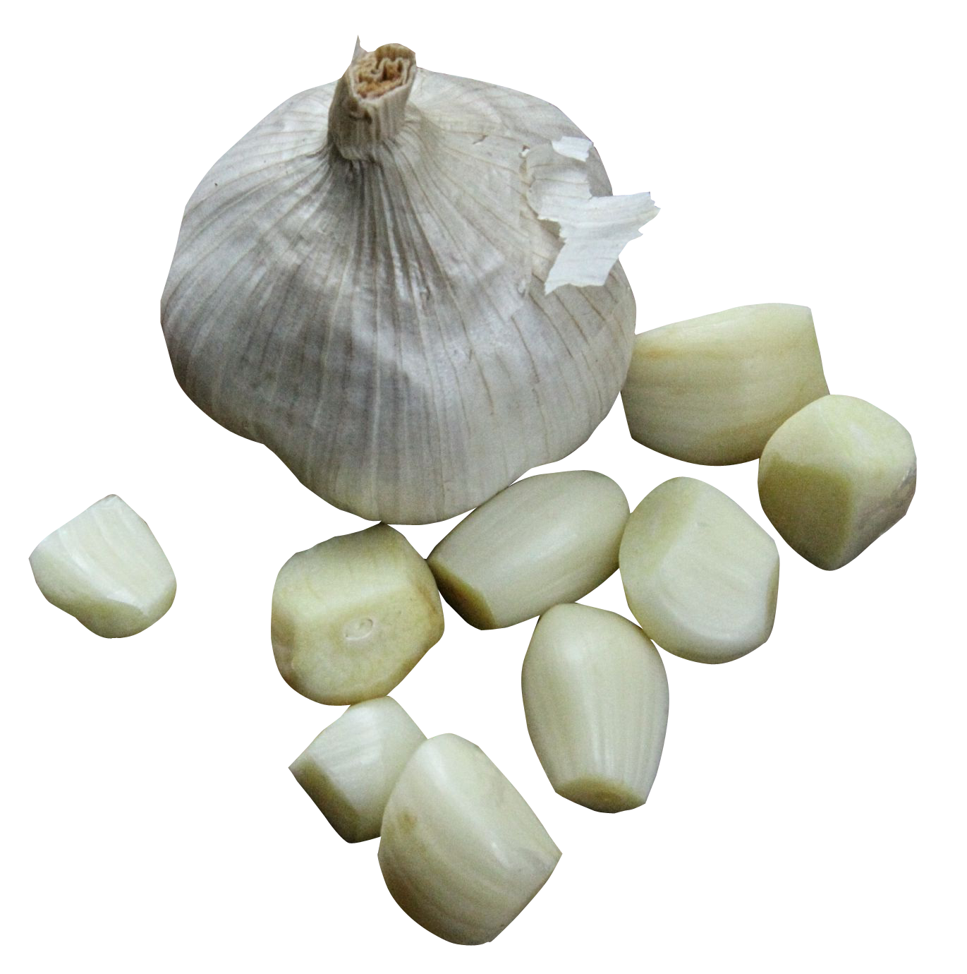 Hdpng - Garlic, Transparent background PNG HD thumbnail