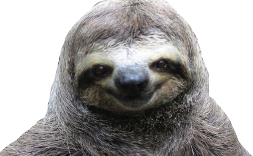 Hdpng - Sloth, Transparent background PNG HD thumbnail