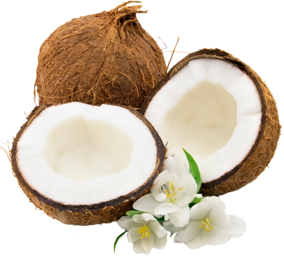 Hdpng - Coconut, Transparent background PNG HD thumbnail