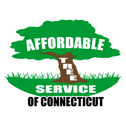 Affordable Tree Service Of Ct - A 1 Tree Services, Transparent background PNG HD thumbnail