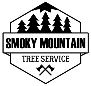 Voted Best Tree Service In Knoxville, Tn | Smoky Mountain Tree Service | Knoxville Tree - A 1 Tree Services, Transparent background PNG HD thumbnail