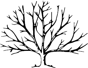 300X234 The Top 5 Regrets Of The Dying - A Dying Tree, Transparent background PNG HD thumbnail