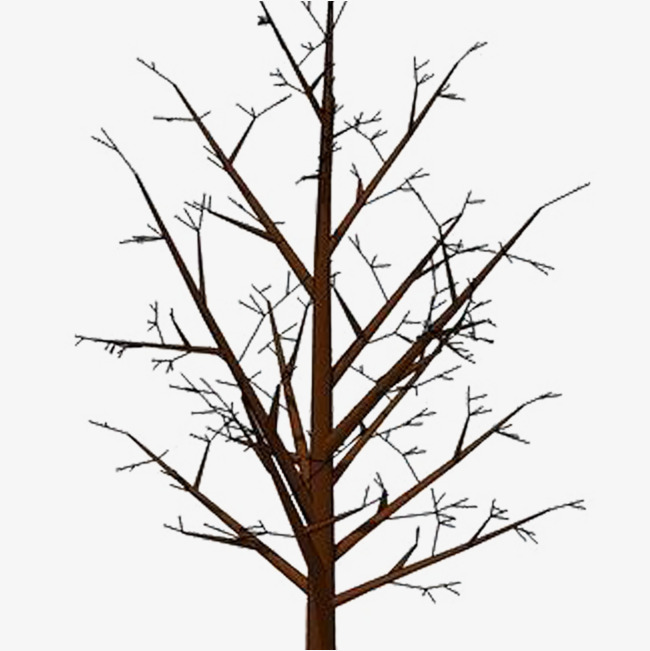 Bare Branches, Plant, Dying, Dim Png Image And Clipart - A Dying Tree, Transparent background PNG HD thumbnail