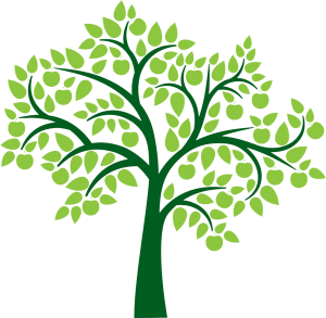 Tree - A Dying Tree, Transparent background PNG HD thumbnail
