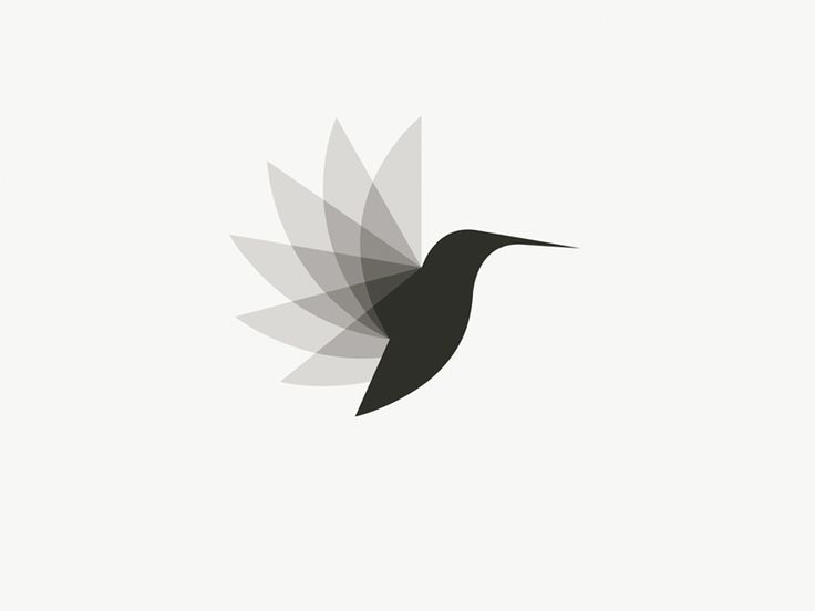 Hummingbird Logo - Aboutdesign, Transparent background PNG HD thumbnail