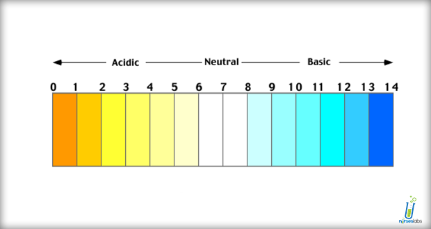 Acidu2013Base Imbalance Is An Abnormality Of The Human Bodyu0027S Normal Balance Of Acids And - Acid And Base, Transparent background PNG HD thumbnail