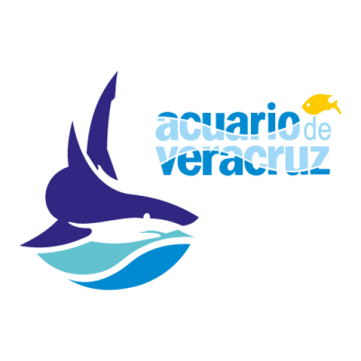 Acuario De Veracruz PNG--518, Acuario De Veracruz PNG - Free PNG