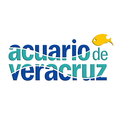 Acuario De Veracruz - Acuario De Veracruz, Transparent background PNG HD thumbnail