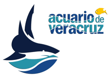 Colab_Acuario_Ver.gif - Acuario De Veracruz, Transparent background PNG HD thumbnail