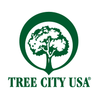 Tree City Usa Vector Logo - Aenor Vector, Transparent background PNG HD thumbnail