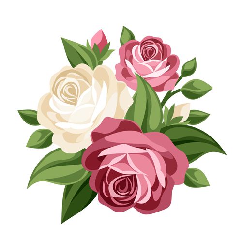 English Rose Stock Illustrations, Cliparts And Royalty Free English Rose Vectors - Air Rose Vector, Transparent background PNG HD thumbnail