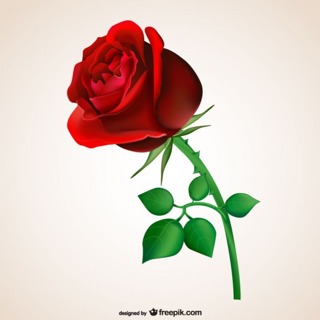 Passionate Red Rose - Air Rose Vector, Transparent background PNG HD thumbnail