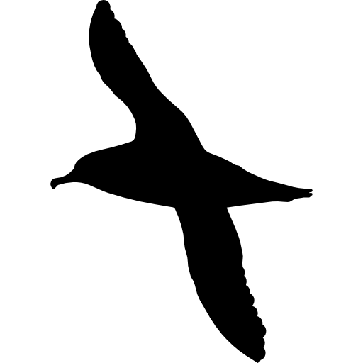 Albatross Bird Shape Free Icon - Albatross, Transparent background PNG HD thumbnail