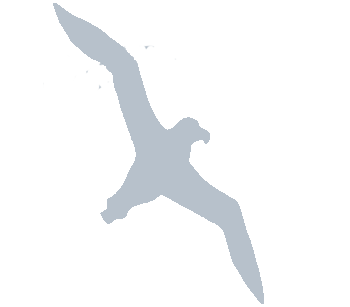 Albatross Fisheries - Albatross, Transparent background PNG HD thumbnail