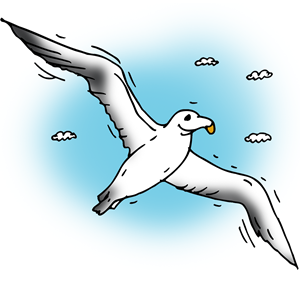 Albatross Transparent PNG