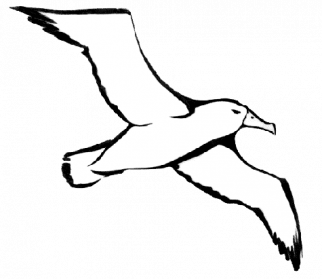 Albatross Png File - Albatross, Transparent background PNG HD thumbnail