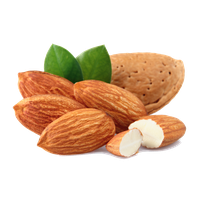 Almond Free Download Png Png Image - Almond, Transparent background PNG HD thumbnail