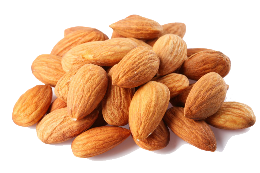 Almond Free Png Image Png Image - Almond, Transparent background PNG HD thumbnail