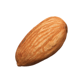 Almond Png - Almond, Transparent background PNG HD thumbnail