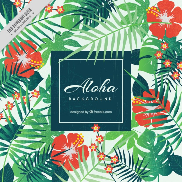 Aloha Style Png - Aloha Background, Floral Style, Transparent background PNG HD thumbnail