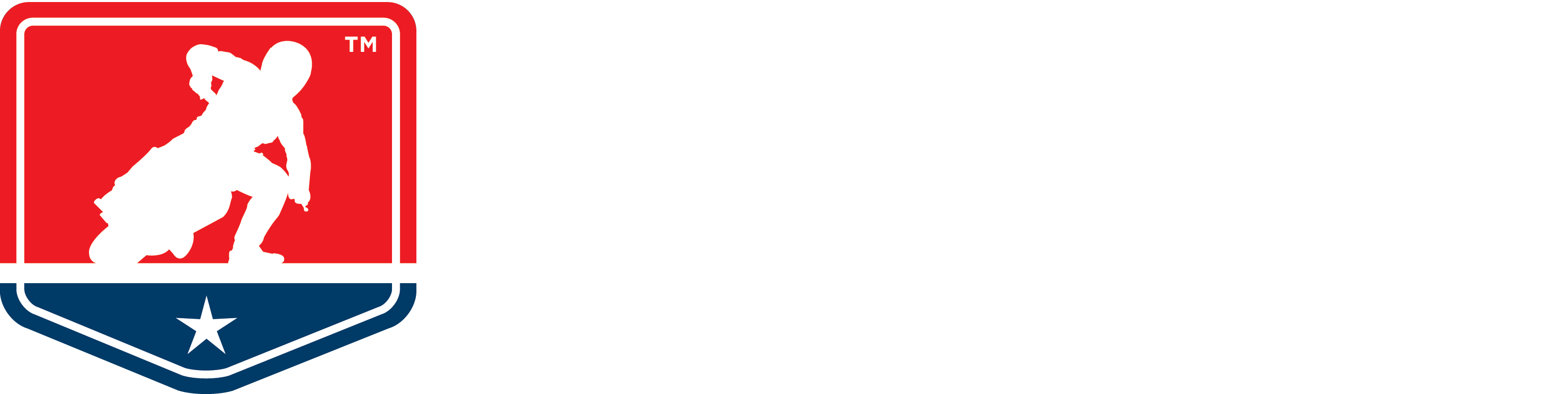 BMW Flat Logo Vector - Ama Fl