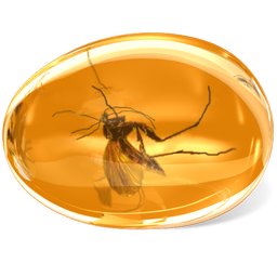 128X128 Px, Amber Icon 256X256 Png - Amber, Transparent background PNG HD thumbnail