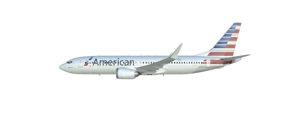 A plane with the new American