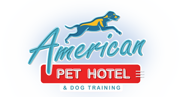 American Pet Hotel U0026 Dog Training - American Pets, Transparent background PNG HD thumbnail