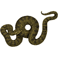 Anaconda PNG HD
