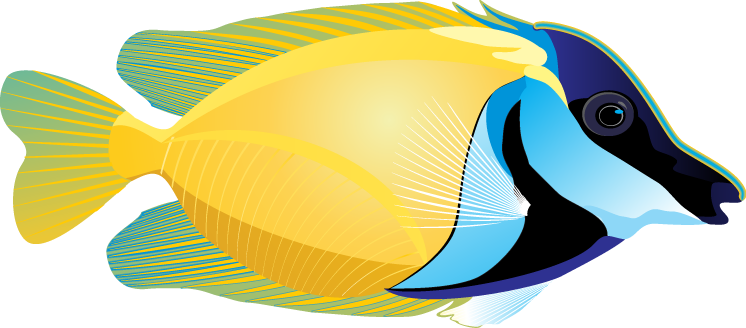 Colorful Tropical Fish Clipart. - Angel Fish, Transparent background PNG HD thumbnail
