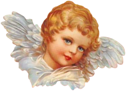 Angel Png Hd - Angel, Transparent background PNG HD thumbnail