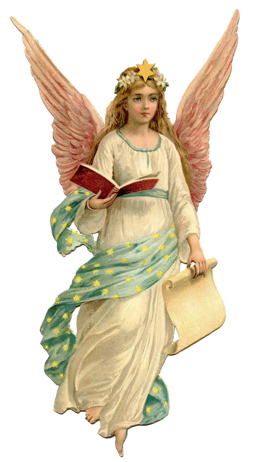 angels wings | Angel Wings PN