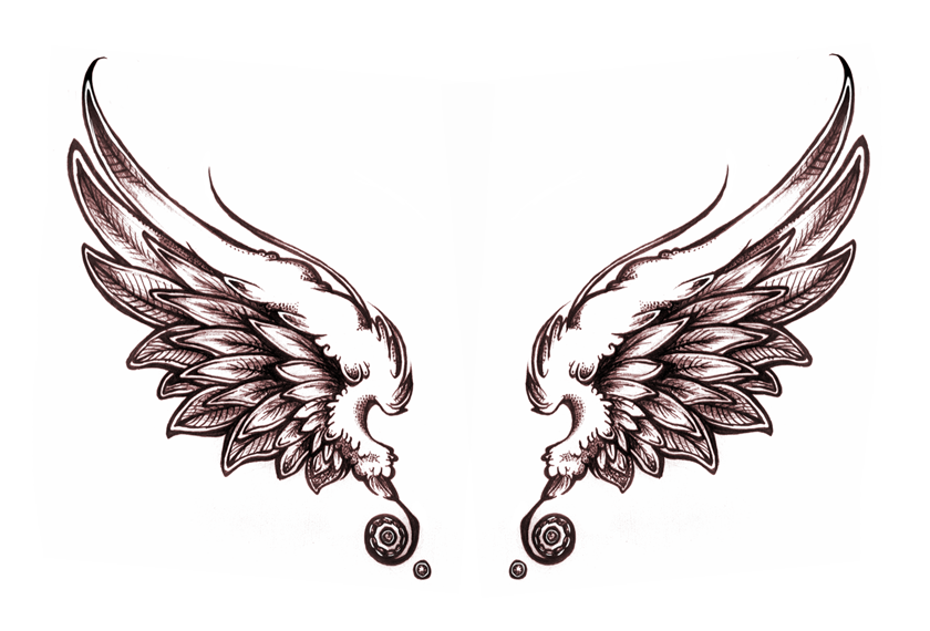 Angel Wings - Wings Tattoos, Transparent background PNG HD thumbnail