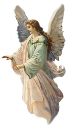 Angel Png - Angels, Transparent background PNG HD thumbnail