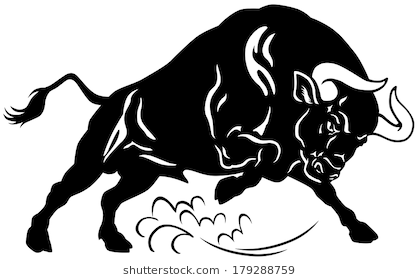 Angry Bull, Attacking Pose, Black And White Image - Angry Bull, Transparent background PNG HD thumbnail