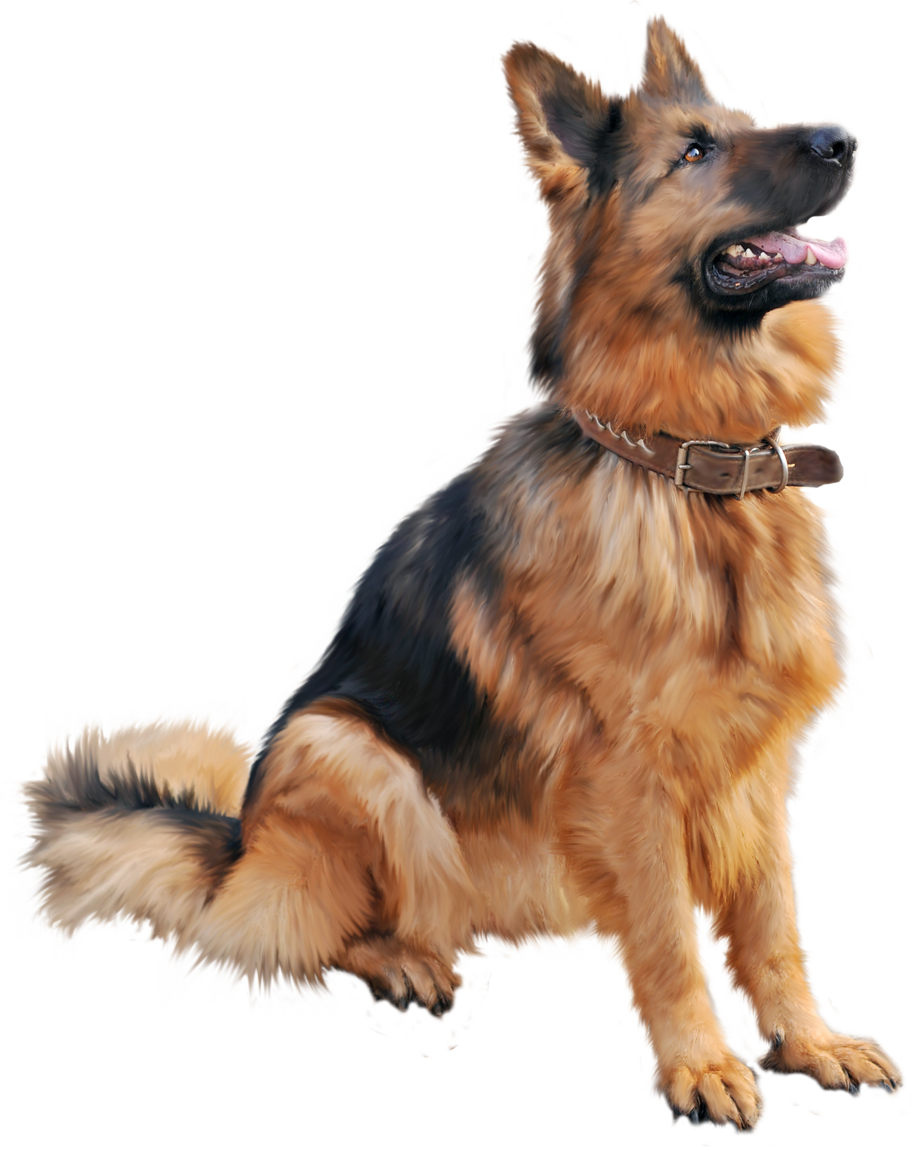 Dog Png 6 Png Image - Angry Dog, Transparent background PNG HD thumbnail