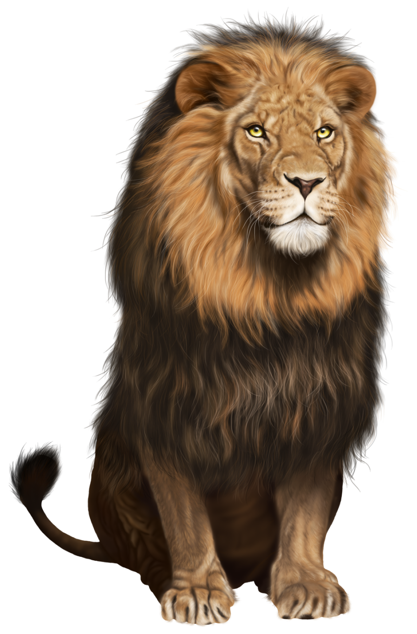 Lion Transparent Png Clip Art Image - Angry Lion, Transparent background PNG HD thumbnail