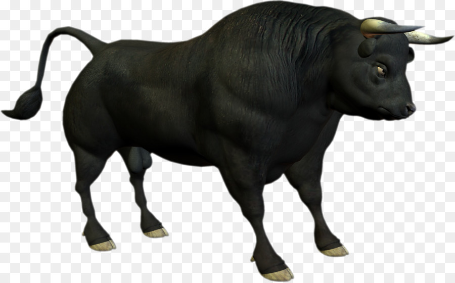 Angus Cattle Bull Download Clip Art   Angry Cow - Angus Bull, Transparent background PNG HD thumbnail