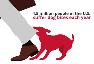 An Estimated 4.5 Million People In The U.s. Suffer Dog Bites Each Year, According To The U.s. Centers For Disease Control And Prevention. - Animal Bites, Transparent background PNG HD thumbnail