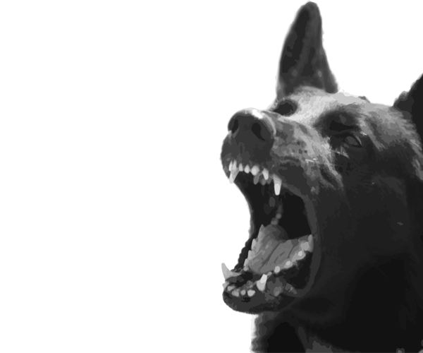 Dog Bite - Animal Bites, Transparent background PNG HD thumbnail