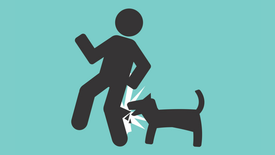 How To Treat A Dog Bite - Animal Bites, Transparent background PNG HD thumbnail