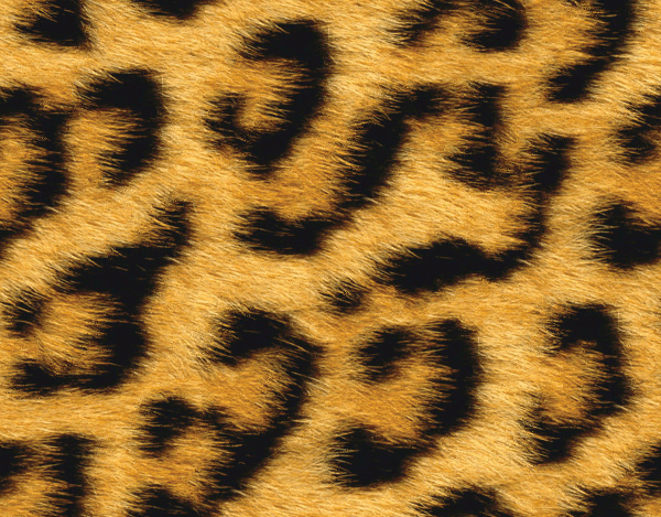 Animal fur background