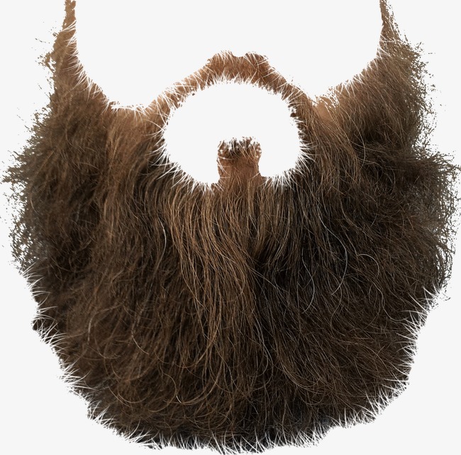 Fur, Hairy, Animal Hair Png Image And Clipart - Animal Fur, Transparent background PNG HD thumbnail