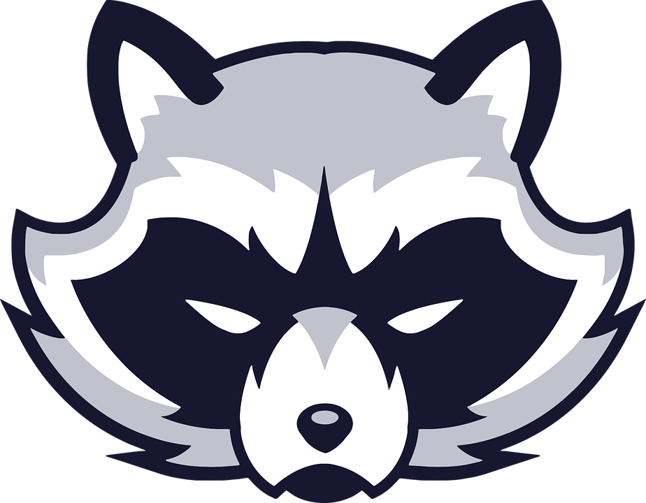 Animal Face Logo Raccoon Vicious Wild - Animal, Transparent background PNG HD thumbnail