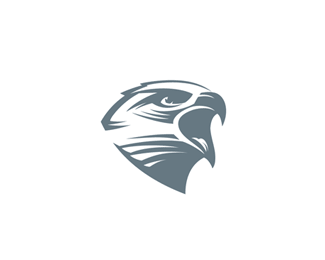 Eagle - Animal, Transparent background PNG HD thumbnail