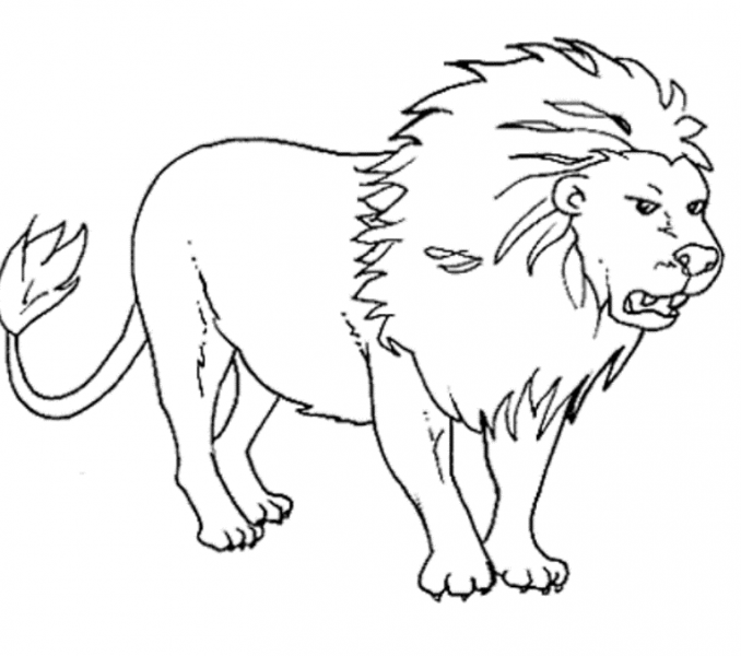 Animal Outlines For Colouring Wild Animals Coloring Pages Free Printable Bebo Pandco Coloring Book Page - Animal For Kids, Transparent background PNG HD thumbnail