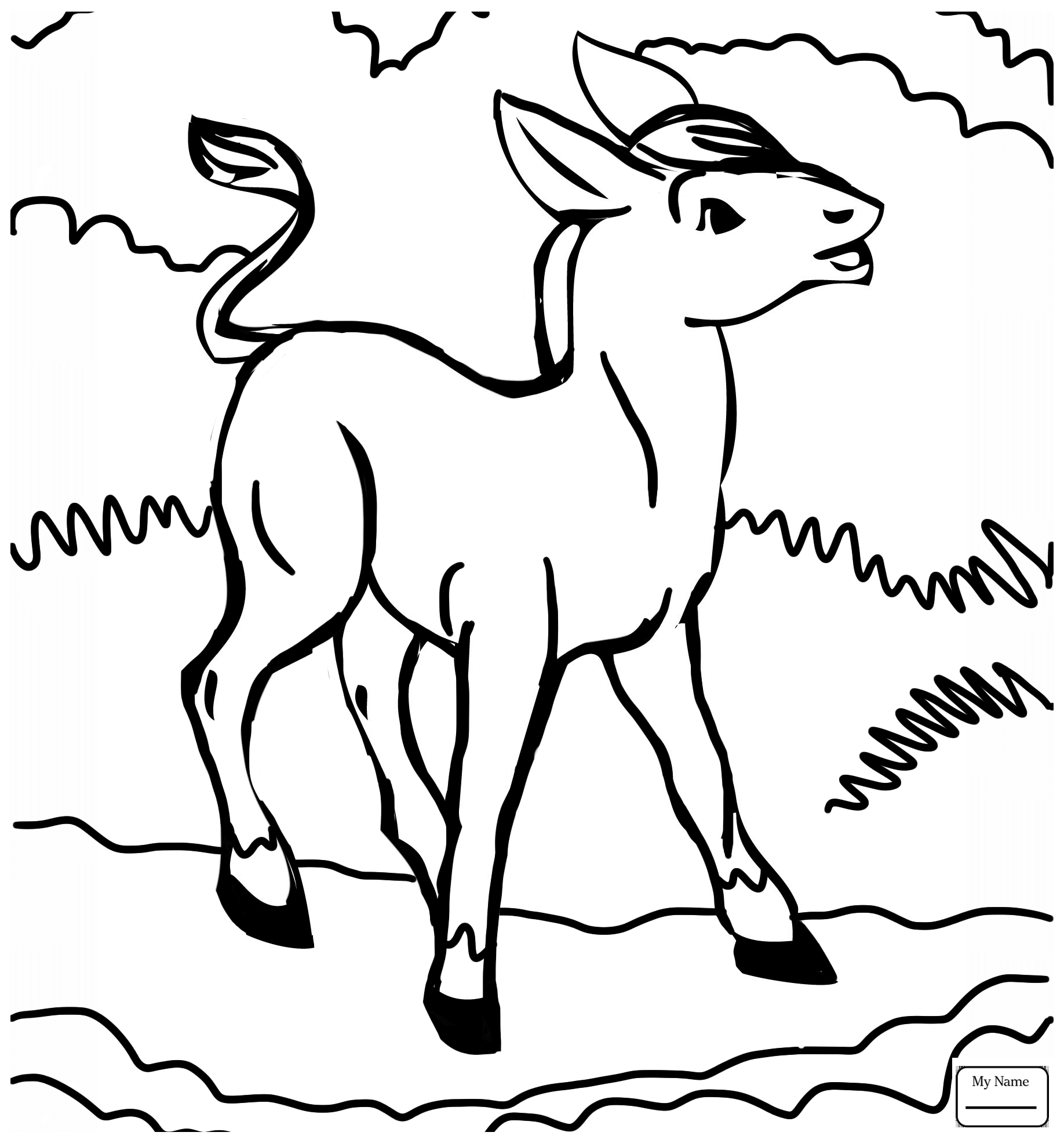 . Hdpng.com Donkey Coloring Page Animals Picture For Preschool Pages Free Kids Hdpng.com  - Animal For Kids, Transparent background PNG HD thumbnail