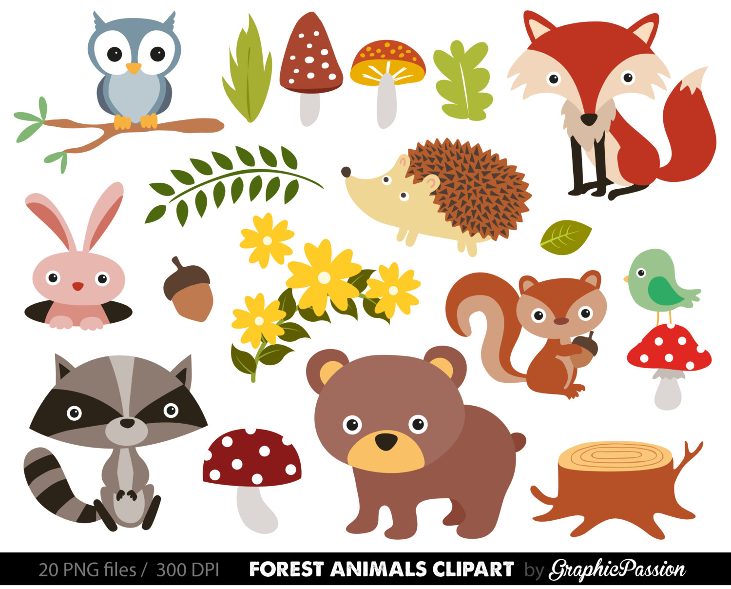 Animal PNG HD For Kids-PlusPN