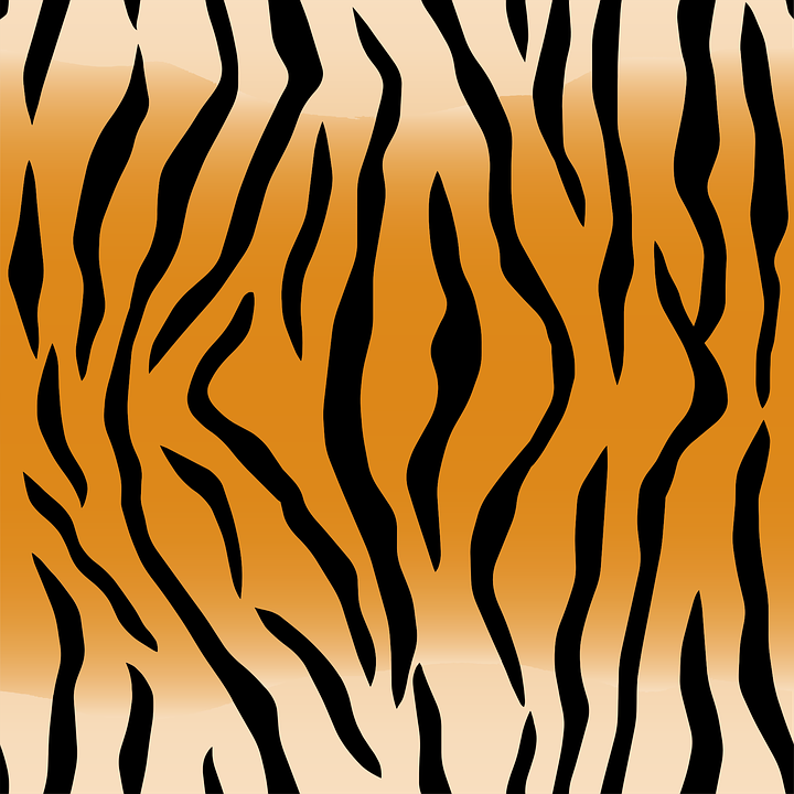 Animal Pattern Skin Stripes Tiger - Animal Skin, Transparent background PNG HD thumbnail